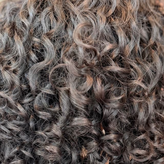 THE CURL RESET — $100 at Mimi Luxe in East Brunswick NJ, NJ
